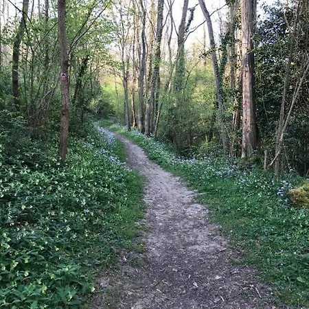 Oda ve Kahvaltı D'hotes Labatut