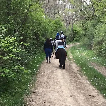 Oda ve Kahvaltı D'hotes Labatut