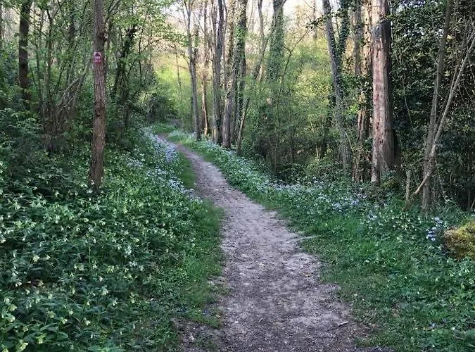 فندق مبيت وإفطار D'hotes Labatut