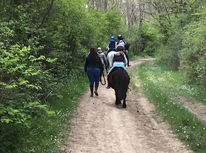 فندق مبيت وإفطار D'hotes Labatut